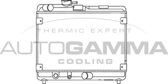 Autogamma 100303 - Радіатор, охолодження двигуна autocars.com.ua