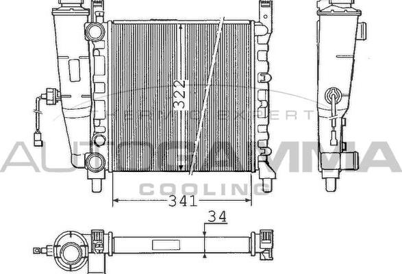 Autogamma 100313 - Радіатор, охолодження двигуна autocars.com.ua
