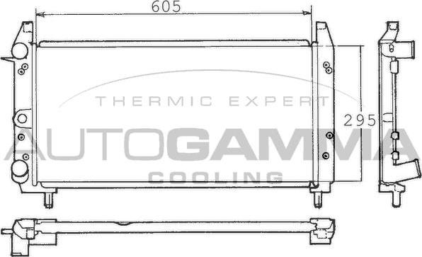 Autogamma 100319 - Радіатор, охолодження двигуна autocars.com.ua