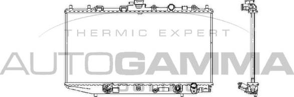 Autogamma 100420 - Радіатор, охолодження двигуна autocars.com.ua