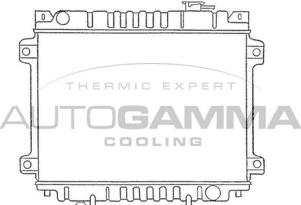Autogamma 100494 - Радіатор, охолодження двигуна autocars.com.ua