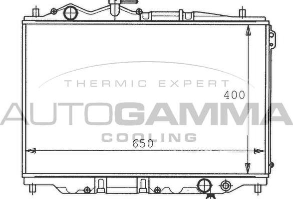 Autogamma 100498 - Радіатор, охолодження двигуна autocars.com.ua