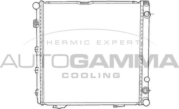 Autogamma 100539 - Радиатор, охлаждение двигателя autodnr.net