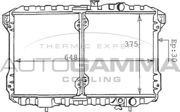 Autogamma 100584 - Радіатор, охолодження двигуна autocars.com.ua