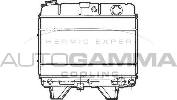 Autogamma 100787 - Радіатор, охолодження двигуна autocars.com.ua