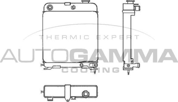 Autogamma 100813 - Радіатор, охолодження двигуна autocars.com.ua
