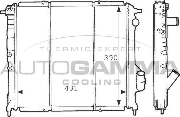 Autogamma 100894 - Радіатор, охолодження двигуна autocars.com.ua