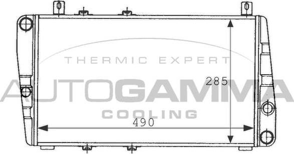 Autogamma 100967 - Радиатор, охлаждение двигателя autodnr.net