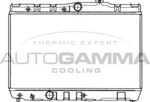 Autogamma 101002 - Радіатор, охолодження двигуна autocars.com.ua