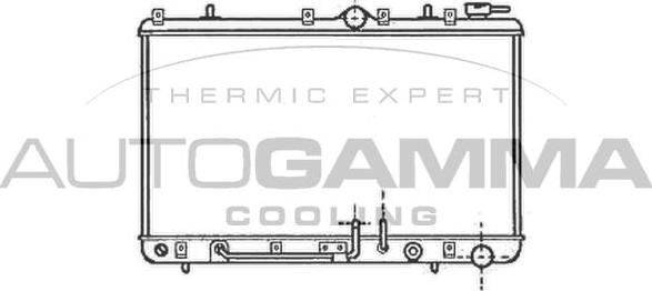 Autogamma 101204 - Радіатор, охолодження двигуна autocars.com.ua