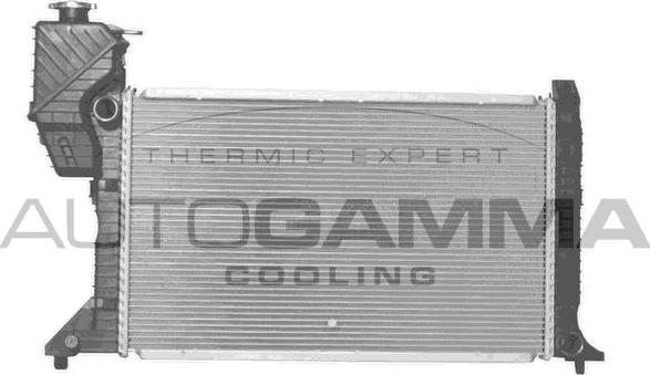 Autogamma 101323 - Радиатор, охлаждение двигателя autodnr.net