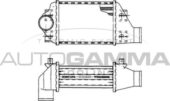 Autogamma 101481 - Интеркулер autocars.com.ua