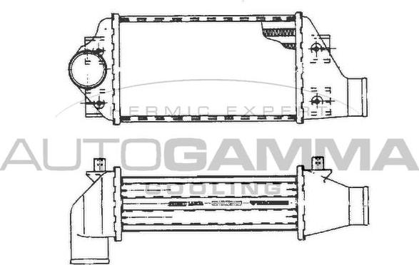 Autogamma 101482 - Интеркулер autocars.com.ua