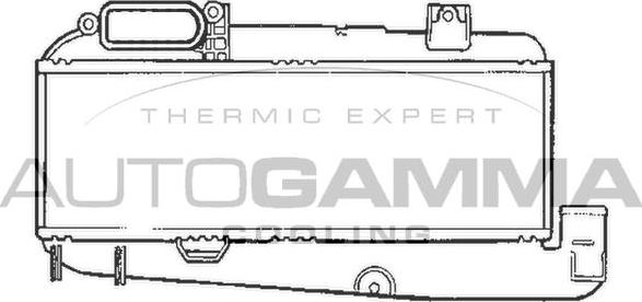 Autogamma 101489 - Интеркулер autocars.com.ua