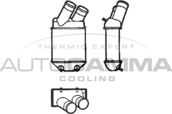 Autogamma 101493 - Интеркулер autocars.com.ua