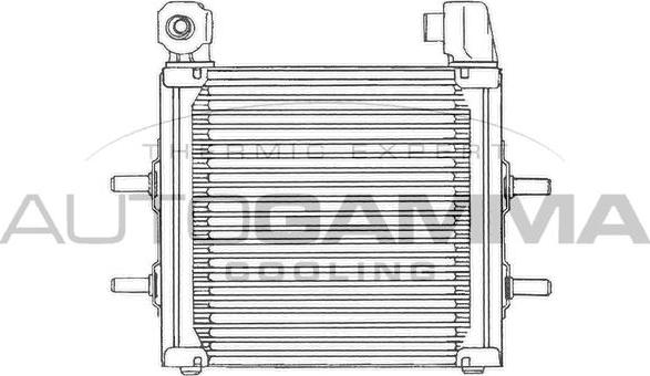 Autogamma 101521 - Масляний радіатор, рухове масло autocars.com.ua