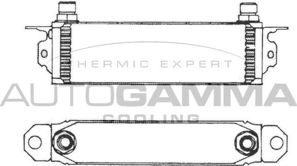 Autogamma 101539 - Масляний радіатор, рухове масло autocars.com.ua