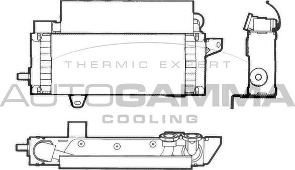 Autogamma 101552 - Масляний радіатор, рухове масло autocars.com.ua