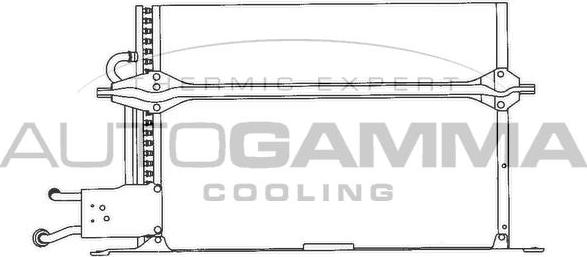 Autogamma 101692 - Конденсатор, кондиціонер autocars.com.ua