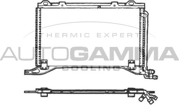 Autogamma 101731 - Конденсатор, кондиціонер autocars.com.ua