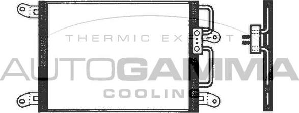Autogamma 101739 - Конденсатор, кондиціонер autocars.com.ua