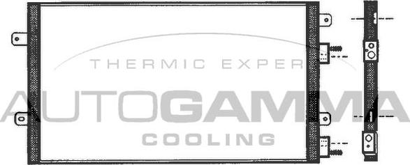 Autogamma 101745 - Конденсатор, кондиціонер autocars.com.ua