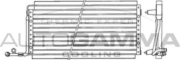 Autogamma 101836 - Конденсатор, кондиціонер autocars.com.ua