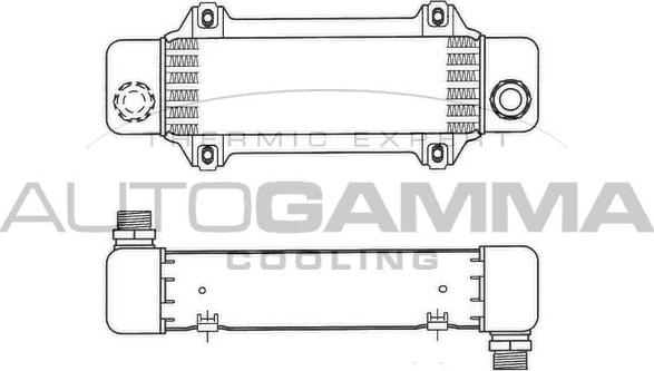 Autogamma 101857 - Масляний радіатор, рухове масло autocars.com.ua