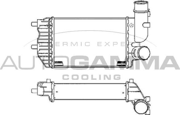 Autogamma 101888 - Интеркулер autocars.com.ua