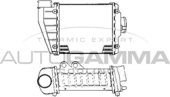 Autogamma 101961 - Интеркулер autocars.com.ua