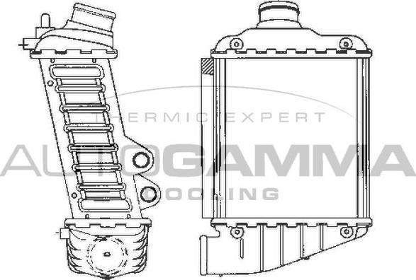 Autogamma 101964 - Интеркулер autocars.com.ua