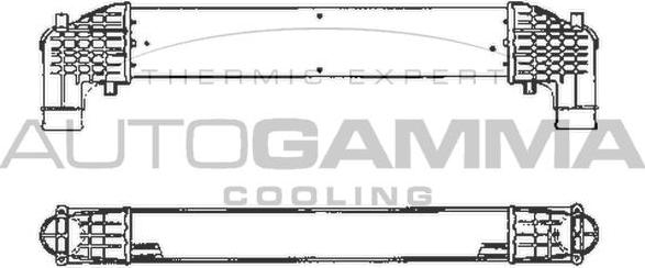 Autogamma 101965 - Интеркулер autocars.com.ua