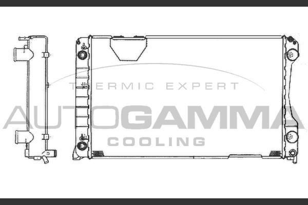 Autogamma 102025 - Радіатор, охолодження двигуна autocars.com.ua