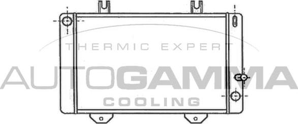 Autogamma 102084 - Радиатор, охлаждение двигателя autodnr.net