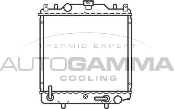 Autogamma 102319 - Радиатор, охлаждение двигателя autodnr.net