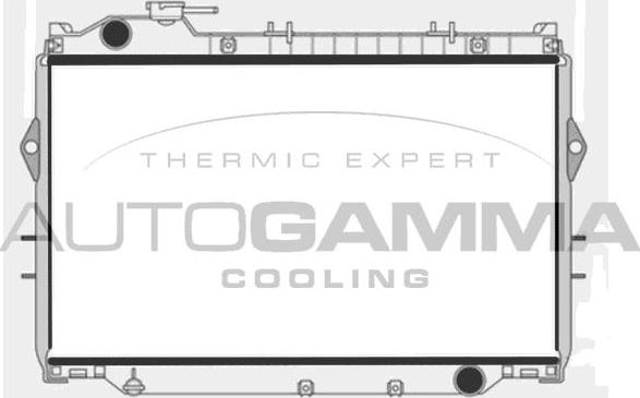 Autogamma 102366 - Радиатор, охлаждение двигателя autodnr.net