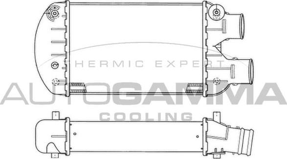 Autogamma 102389 - Интеркулер autocars.com.ua