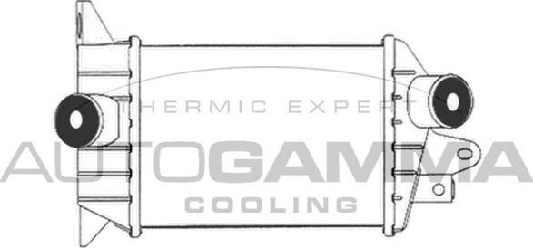 Autogamma 102404 - Интеркулер autocars.com.ua