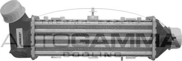 Autogamma 102407 - Интеркулер autocars.com.ua