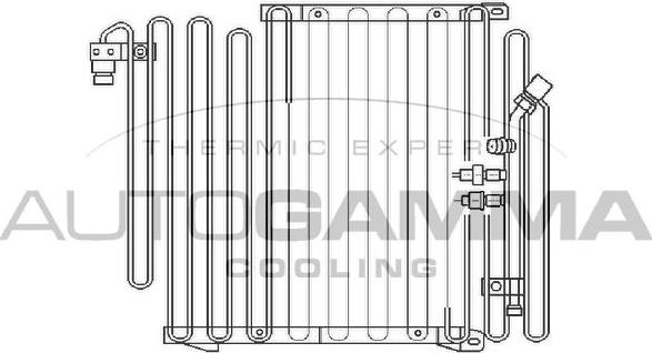 Autogamma 102573 - Конденсатор, кондиціонер autocars.com.ua