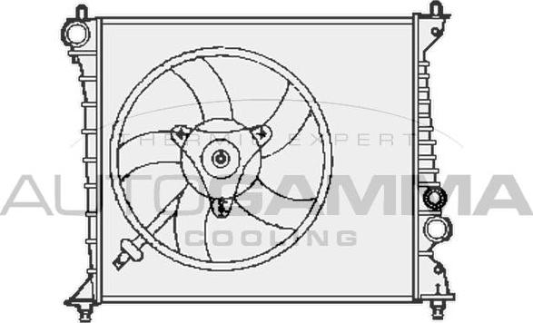 Autogamma 102894 - Радіатор, охолодження двигуна autocars.com.ua