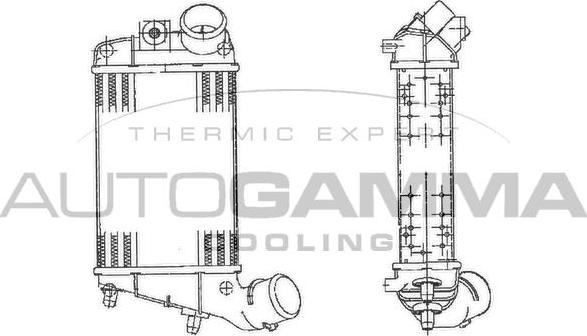 Autogamma 103008 - Интеркулер autocars.com.ua