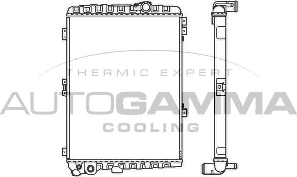 Autogamma 103036 - Радиатор, охлаждение двигателя autodnr.net