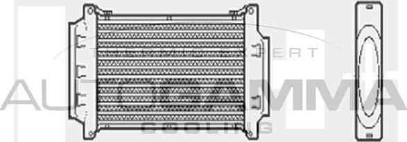 Autogamma 103203 - Интеркулер autocars.com.ua