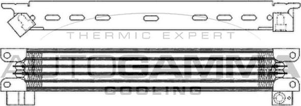 Autogamma 103267 - Масляний радіатор, рухове масло autocars.com.ua