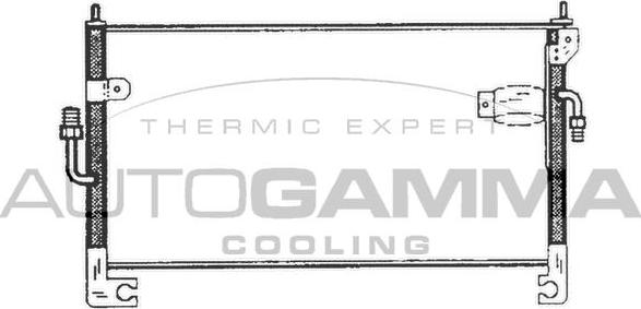 Autogamma 103289 - Конденсатор, кондиціонер autocars.com.ua