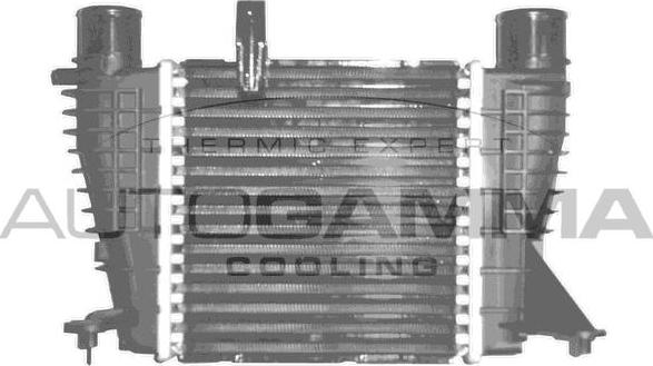 Autogamma 103381 - Интеркулер autocars.com.ua