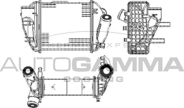 Autogamma 103598 - Интеркулер autocars.com.ua