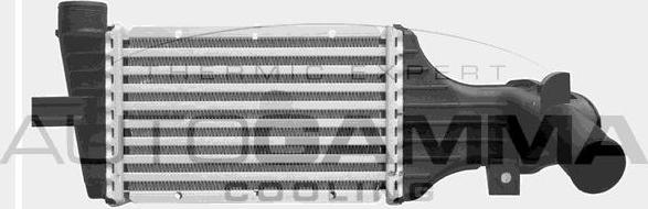 Autogamma 103729 - Интеркулер autocars.com.ua