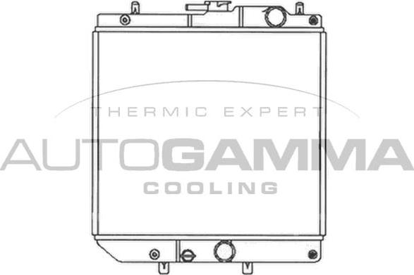 Autogamma 103789 - Радиатор, охлаждение двигателя autodnr.net